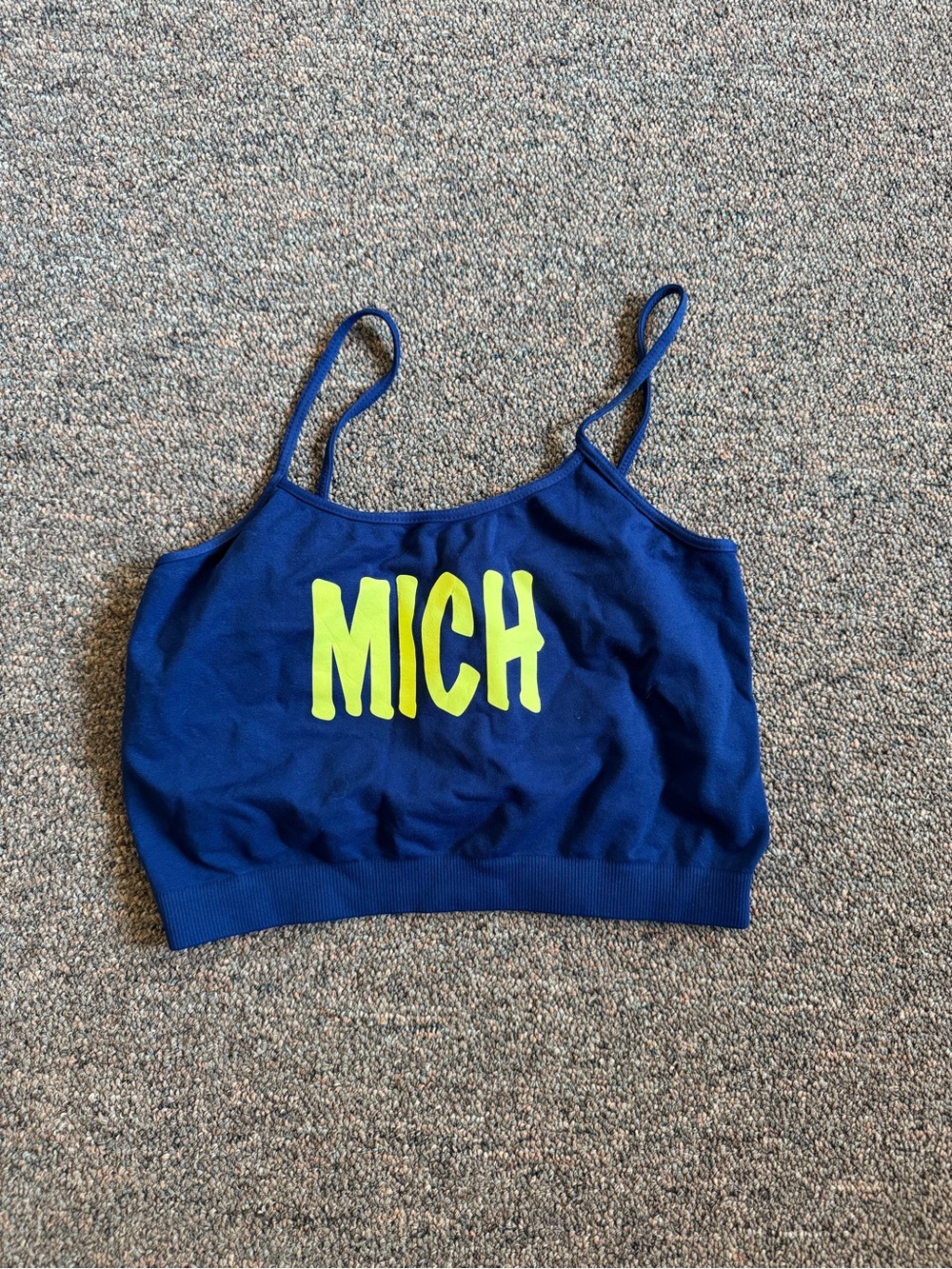 University of Michigan Crop Top Tailgate football Size S